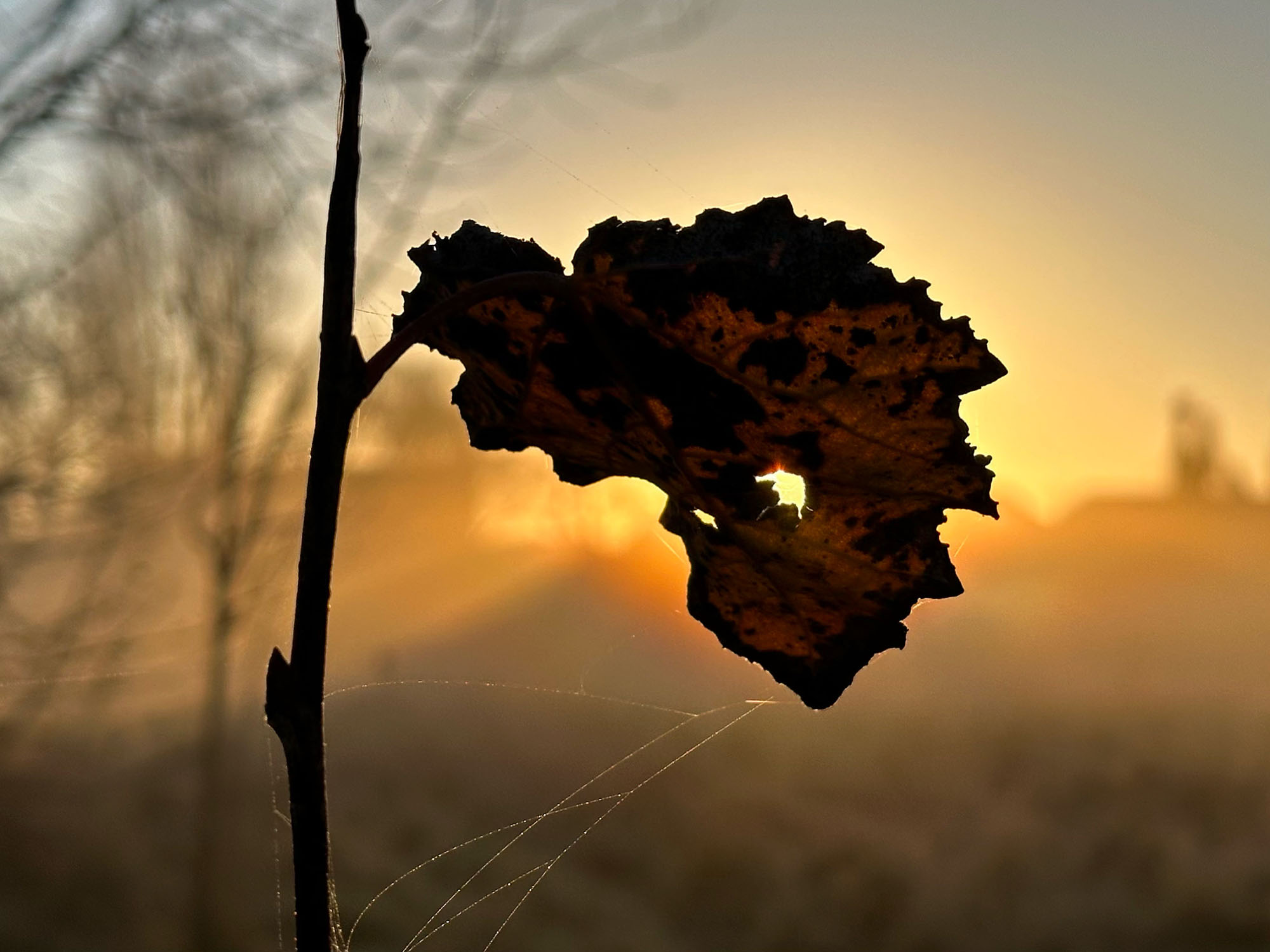 1D183F91-1ABE-43BD-BECA-45FF6CF605C7