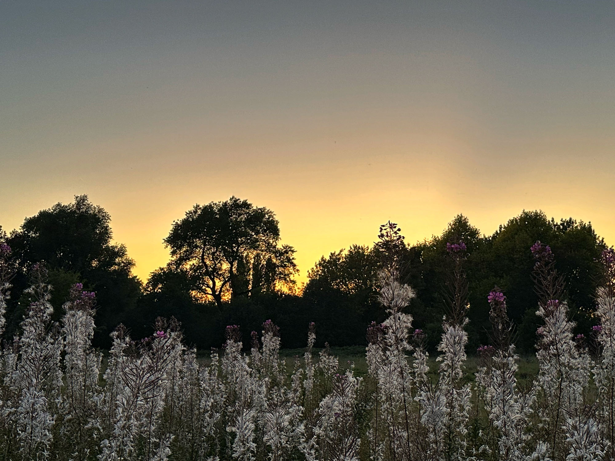 60E08DDD-0193-401C-BE66-582687B23582