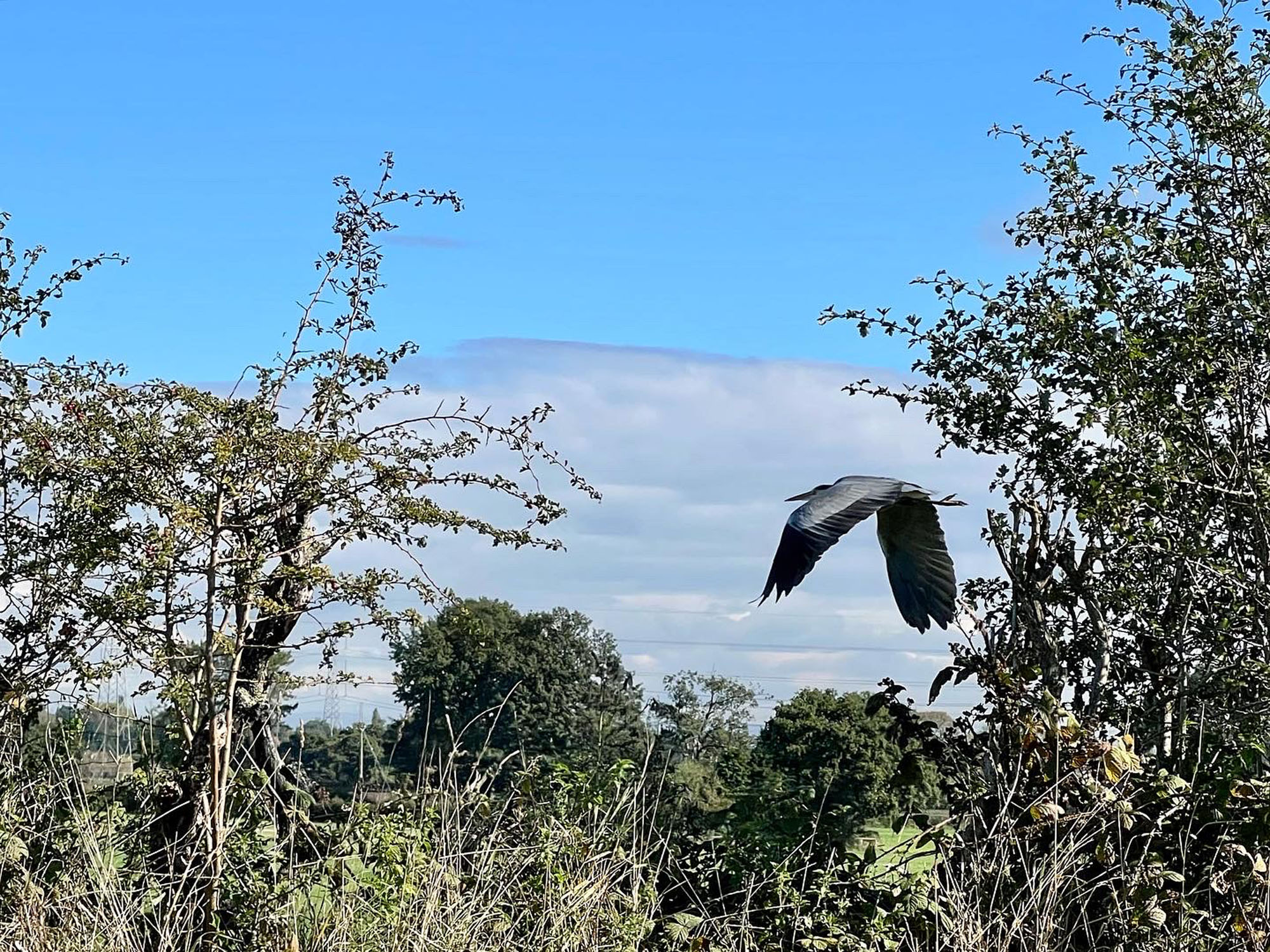 764E509B-F761-402A-92F9-A52A7C43657B