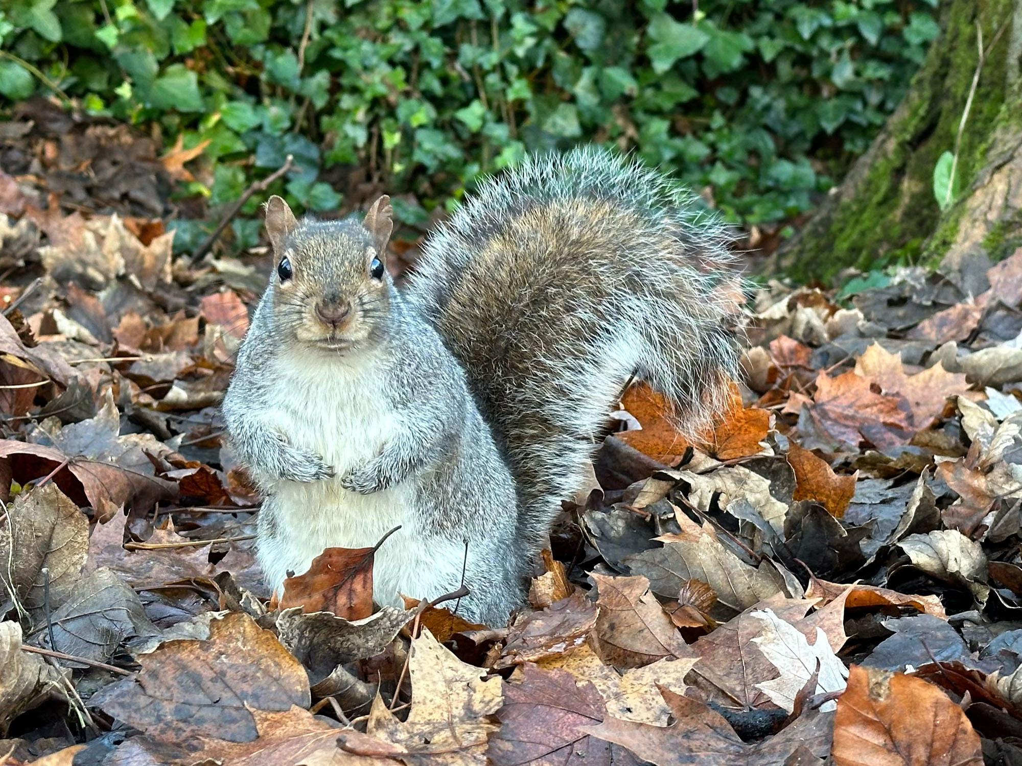 76DA4083-A890-407D-8309-3AB5F9DF6A00